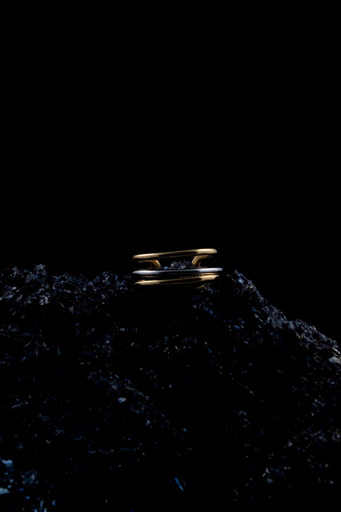 DANI RING